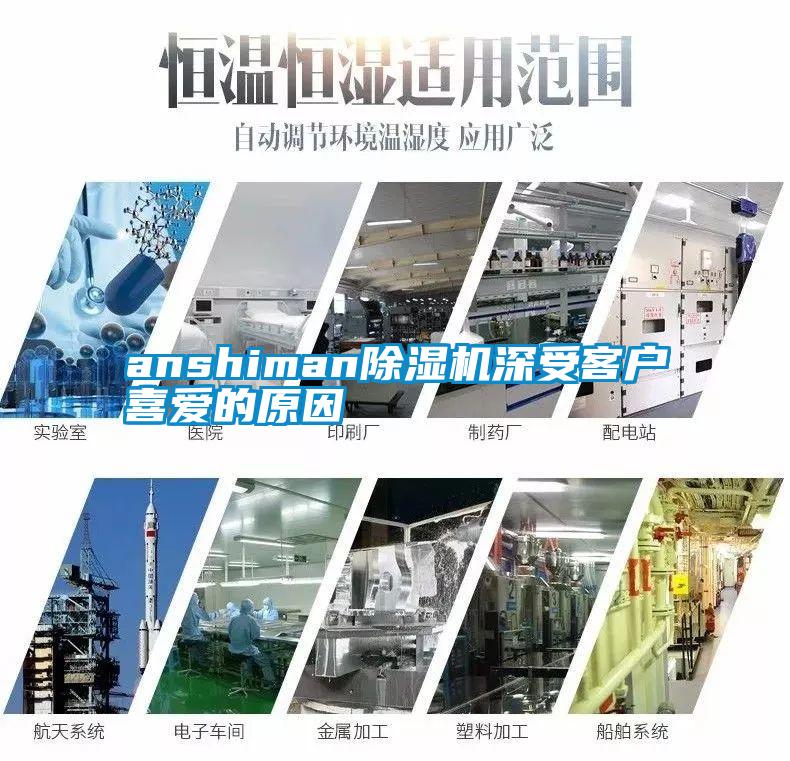 anshiman精品一区二区三区水蜜桃深受客户喜爱的原因