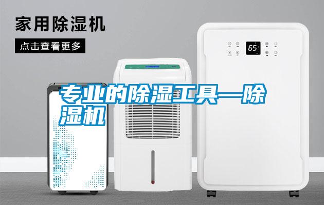 专业的除湿工具—精品一区二区三区水蜜桃