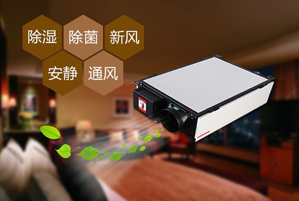 哈密瓜烘干精品一区二区三区水蜜桃