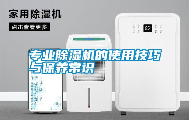 专业精品一区二区三区水蜜桃的使用技巧与保养常识