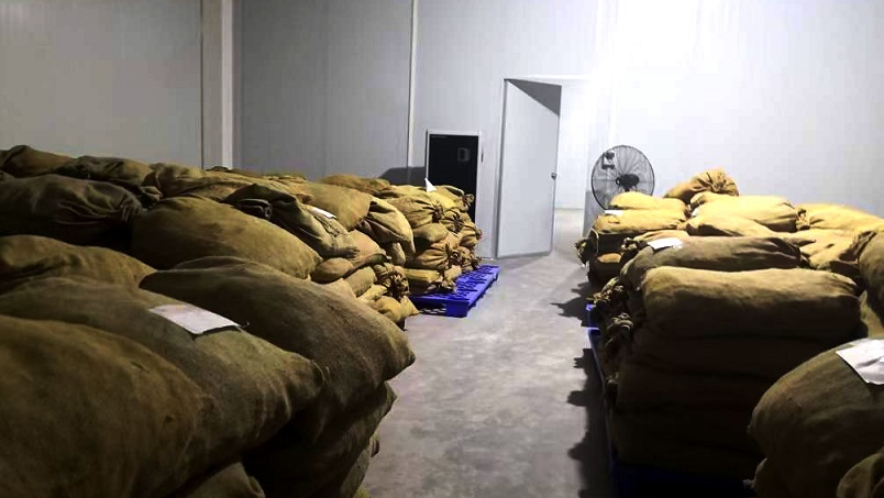 陈皮仓储精品一区二区三区水蜜桃