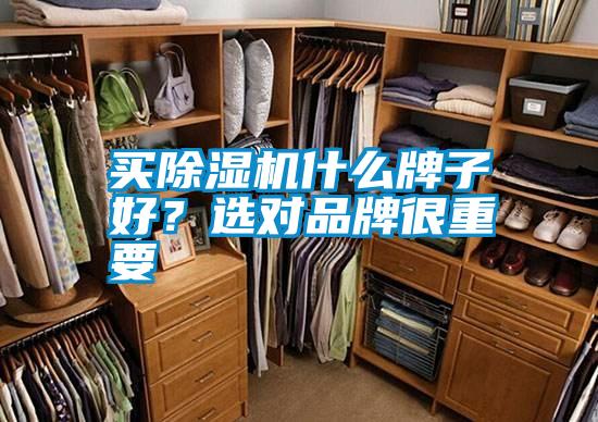 买精品一区二区三区水蜜桃什么牌子好？选对品牌很重要