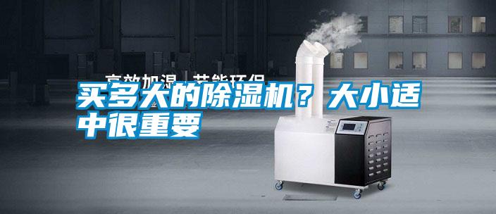 买多大的精品一区二区三区水蜜桃？大小适中很重要