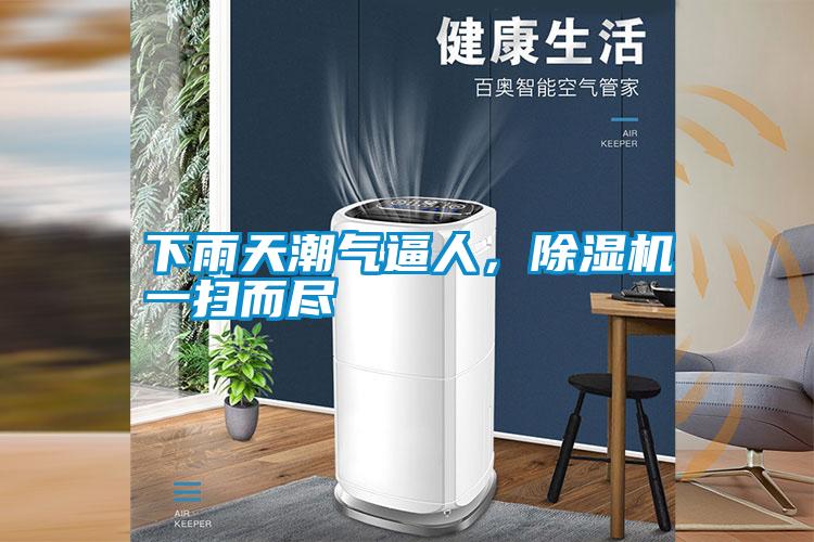 下雨天潮气逼人，精品一区二区三区水蜜桃一扫而尽