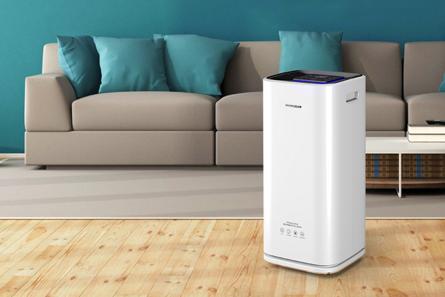 一起和99精品久久久久久水蜜桃把健康空气带回家吧