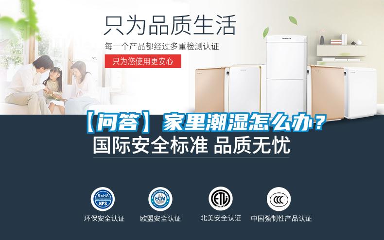 【问答】家里潮湿怎么办？