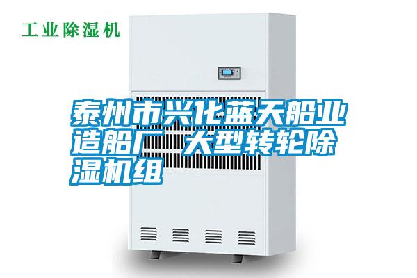 泰州市兴化蓝天船业造船厂 大型转轮精品一区二区三区水蜜桃组