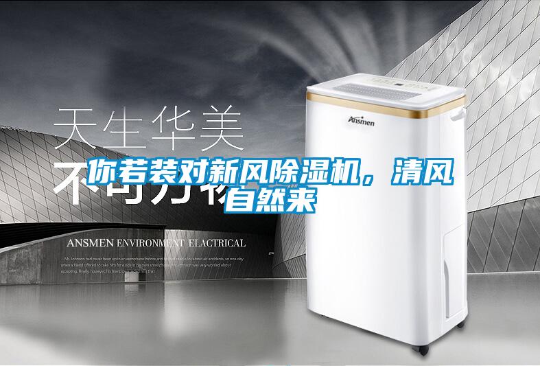 你若装对新风精品一区二区三区水蜜桃，清风自然来