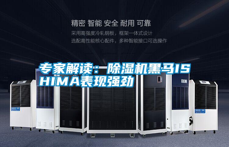 专家解读：精品一区二区三区水蜜桃黑马ISHIMA表现强劲