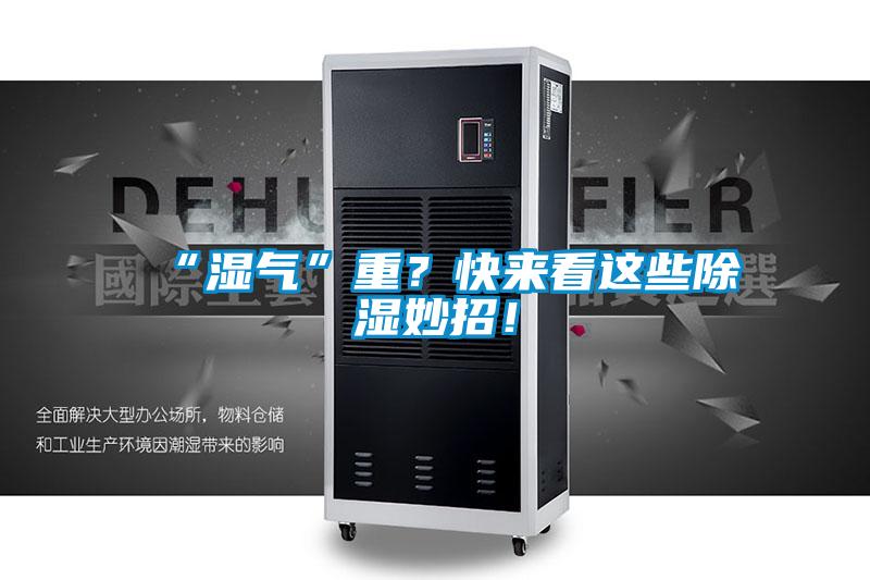 “湿气”重？快来看这些除湿妙招！