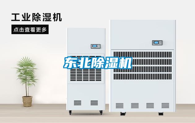 东北精品一区二区三区水蜜桃