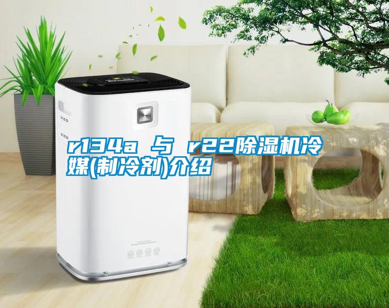 r134a 与 r22精品一区二区三区水蜜桃冷媒(制冷剂)介绍