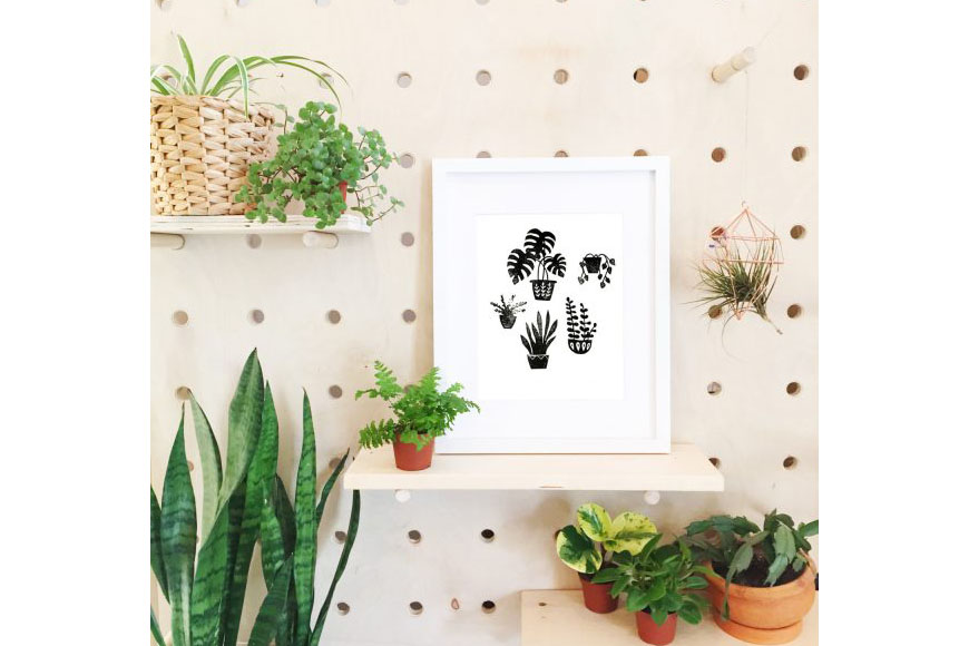 1522115598497329.jpg 除湿植物.jpg