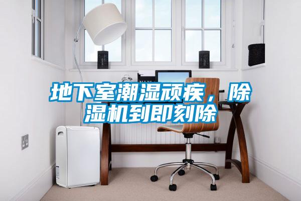 地下室潮湿顽疾，精品一区二区三区水蜜桃到即刻除