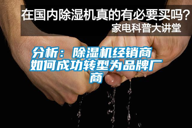 分析：精品一区二区三区水蜜桃经销商 如何成功转型为品牌厂商