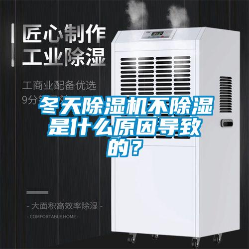 冬天精品一区二区三区水蜜桃不除湿是什么原因导致的？