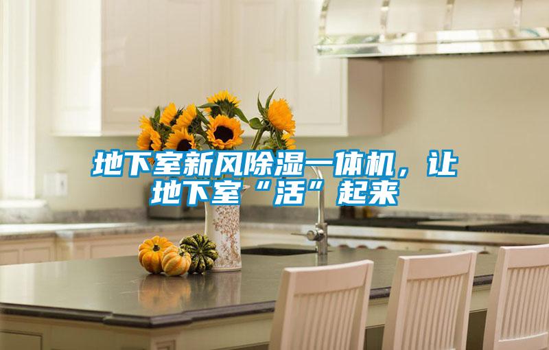 地下室新风除湿一体机，让地下室“活”起来