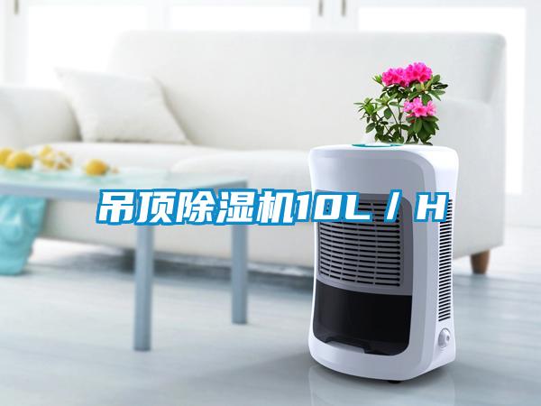 吊顶精品一区二区三区水蜜桃10L／H