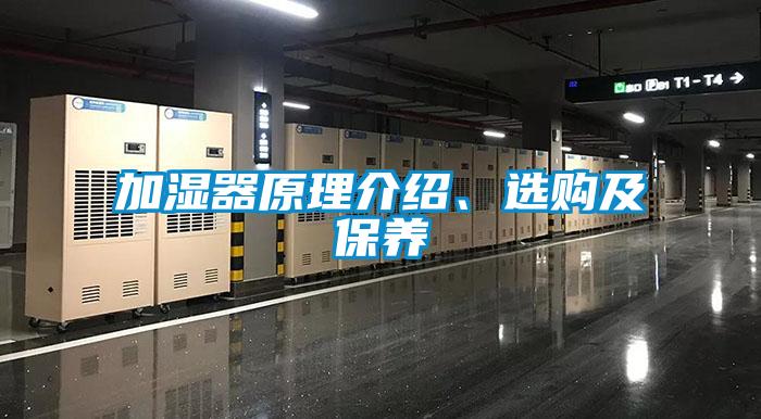 加湿器原理介绍、选购及保养