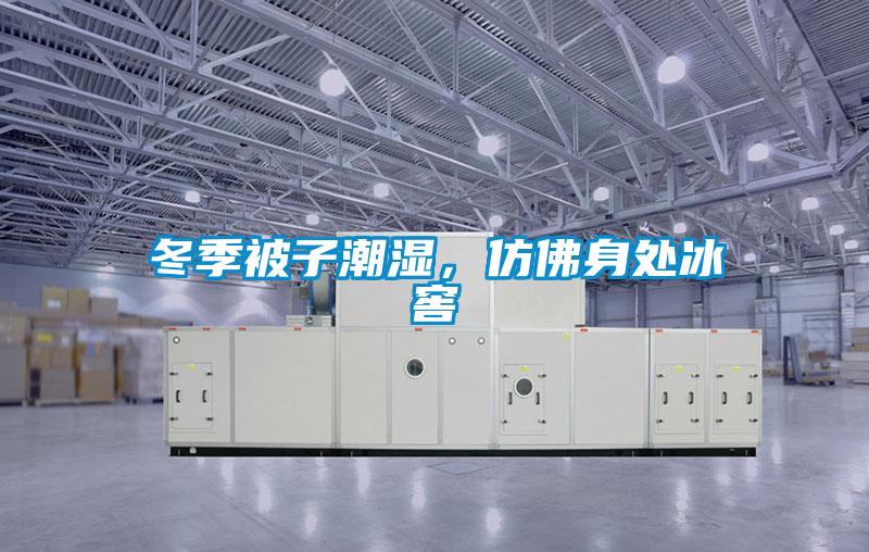 冬季被子潮湿，仿佛身处冰窖