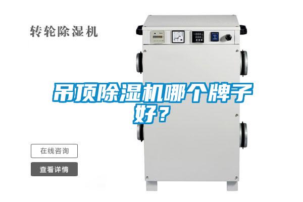 吊顶精品一区二区三区水蜜桃哪个牌子好？