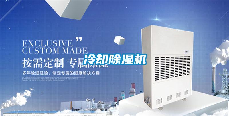 冷却精品一区二区三区水蜜桃