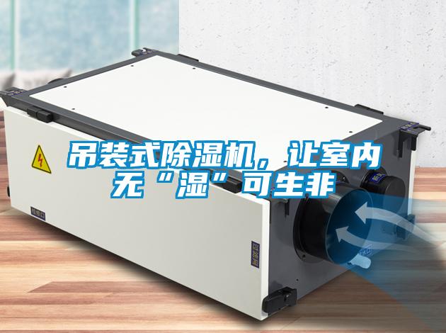 吊装式精品一区二区三区水蜜桃，让室内无“湿”可生非