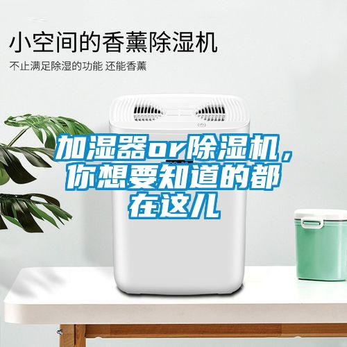 加湿器or精品一区二区三区水蜜桃，你想要知道的都在这儿