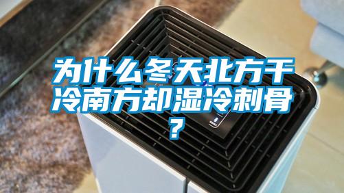 为什么冬天北方干冷南方却湿冷刺骨？