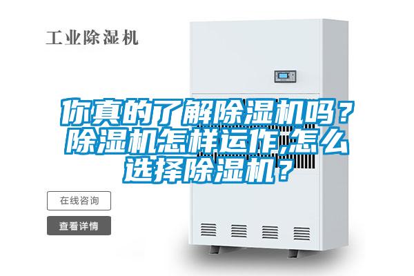 你真的了解精品一区二区三区水蜜桃吗？精品一区二区三区水蜜桃怎样运作,怎么选择精品一区二区三区水蜜桃？