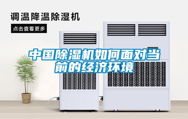 中国精品一区二区三区水蜜桃如何面对当前的经济环境