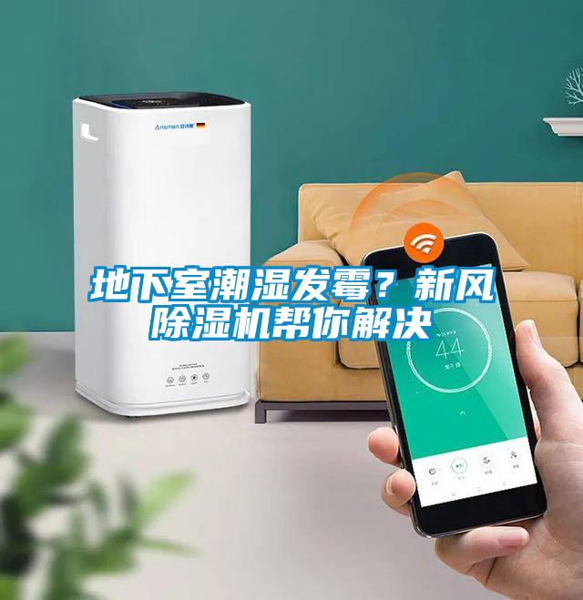 地下室潮湿发霉？新风精品一区二区三区水蜜桃帮你解决