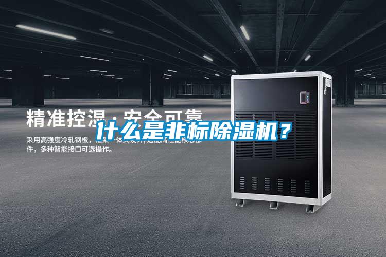 什么是非标精品一区二区三区水蜜桃？