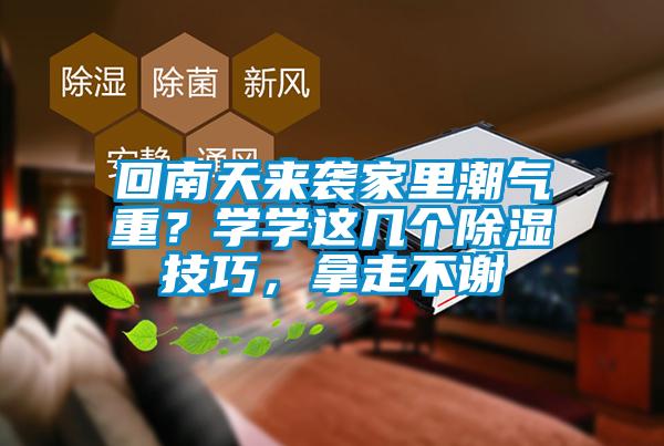 回南天来袭家里潮气重？学学这几个除湿技巧，拿走不谢