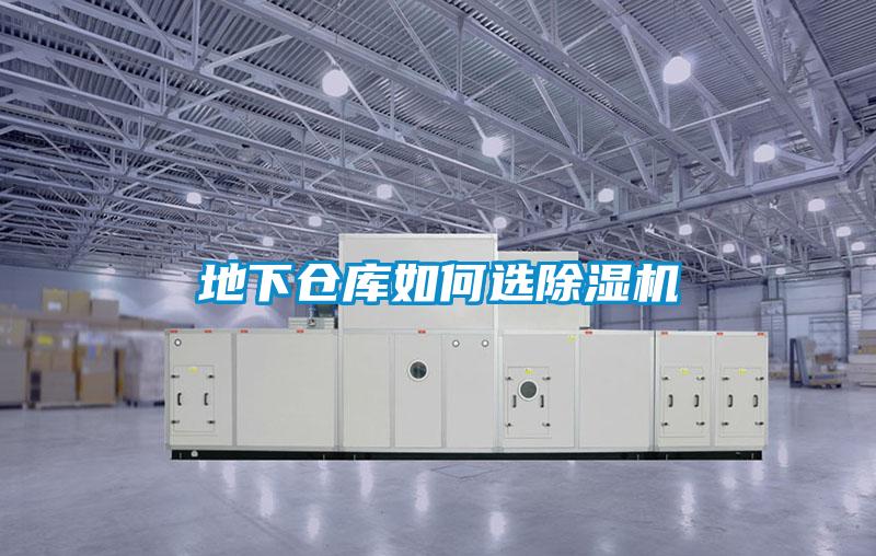 地下仓库如何选精品一区二区三区水蜜桃