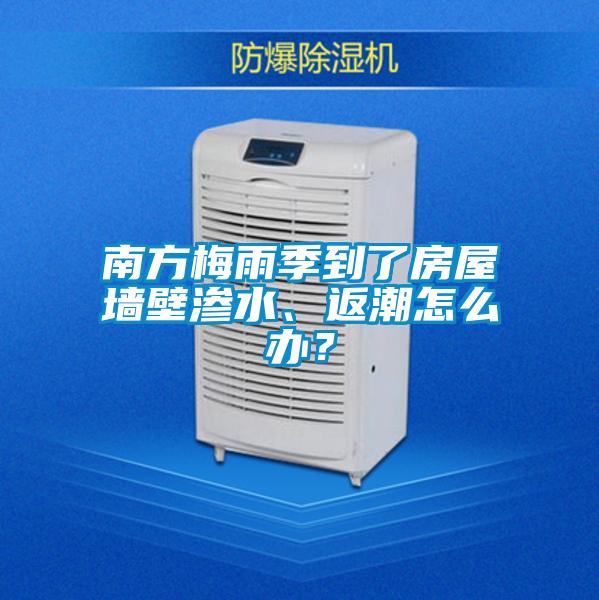 南方梅雨季到了房屋墙壁渗水、返潮怎么办？