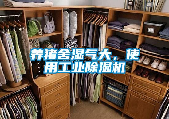 养猪舍湿气大，使用工业精品一区二区三区水蜜桃