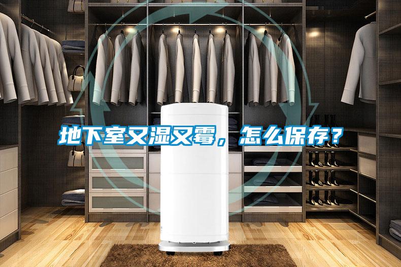 地下室又湿又霉，怎么保存？