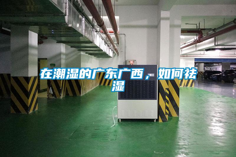 在潮湿的广东广西，如何祛湿