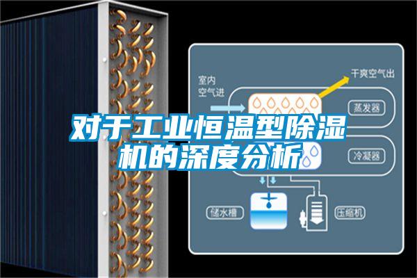 对于工业恒温型精品一区二区三区水蜜桃的深度分析