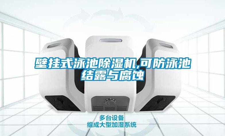 壁挂式泳池精品一区二区三区水蜜桃,可防泳池结露与腐蚀