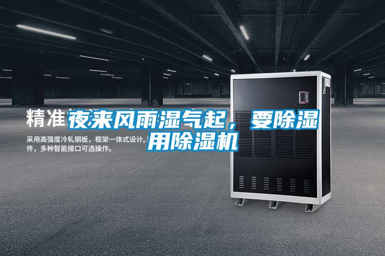 夜来风雨湿气起，要除湿用精品一区二区三区水蜜桃