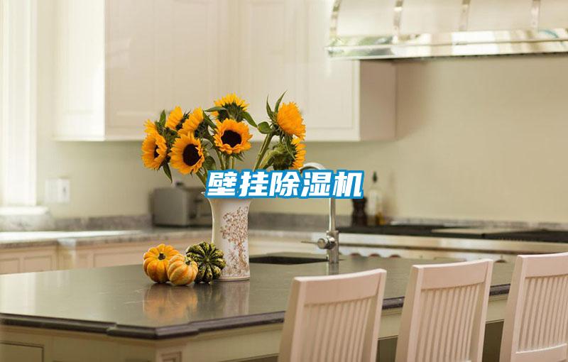 壁挂精品一区二区三区水蜜桃