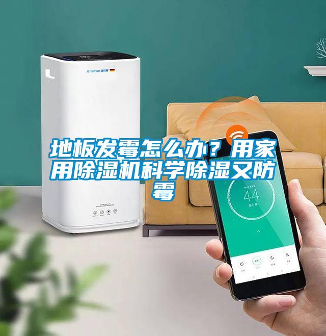 地板发霉怎么办？用家用精品一区二区三区水蜜桃科学除湿又防霉