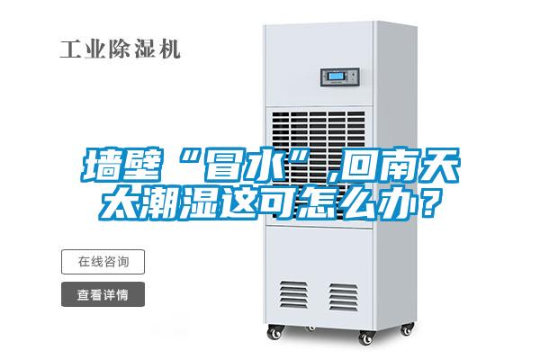 墙壁“冒水”,回南天太潮湿这可怎么办？