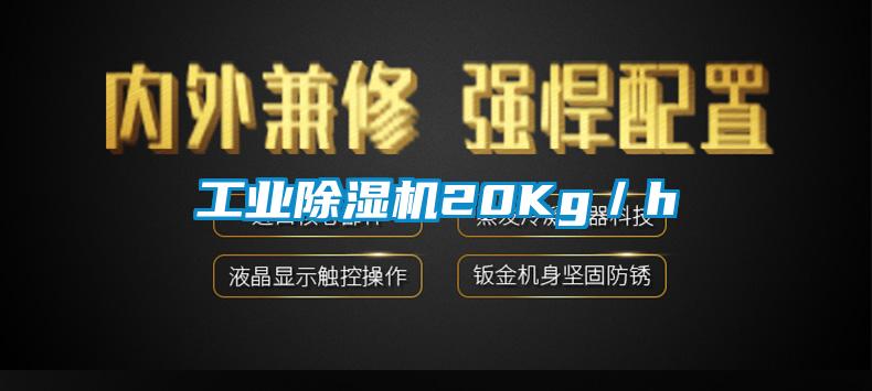 工业精品一区二区三区水蜜桃20Kg/h