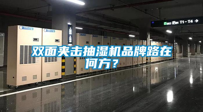 双面夹击抽湿机品牌路在何方？