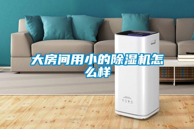 大房间用小的精品一区二区三区水蜜桃怎么样