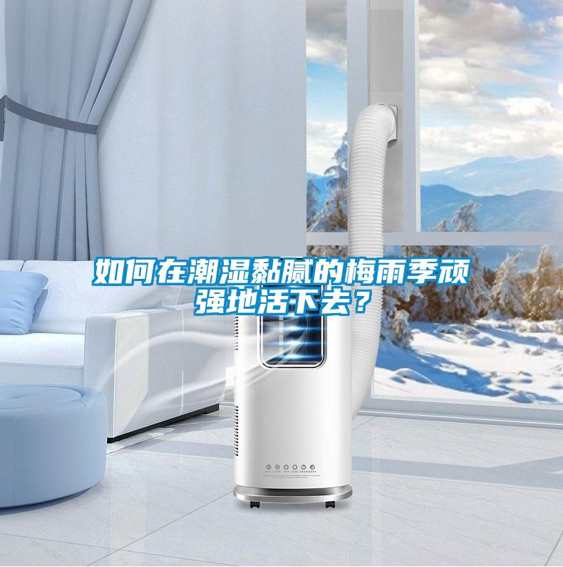如何在潮湿黏腻的梅雨季顽强地活下去？