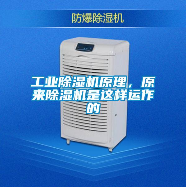 工业精品一区二区三区水蜜桃原理，原来精品一区二区三区水蜜桃是这样运作的